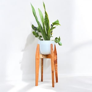 Moderne Zedernholz Blumenständer Indoor Holz