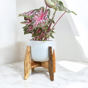 Regalo para amantes de las plantas, maceta de madera para plantas de interior, soporte para plantas de interior con patas niveladoras.