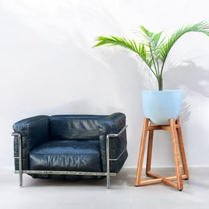 Soporte de exhibición de plantas de madera de cedro para interior.