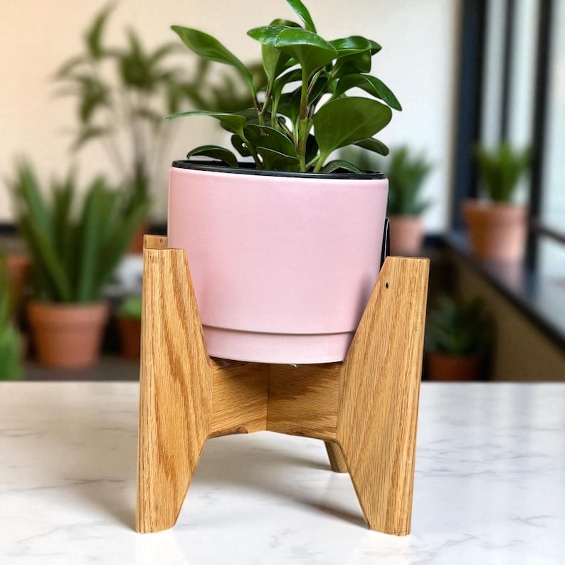 May include: A small, leafy green plant in a light pink ceramic pot. The pot sits on a natural wood plant stand. The stand has a mid-century modern design with angled legs. The background is blurred, showing other plants.