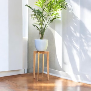 Suporte para plantas de carvalho com pés ajustáveis: exibição moderna de meados do século