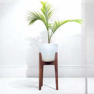 May include: A white ceramic planter with a green plant, set on a dark brown wooden stand. The stand has a mid-century modern design with four angled legs. The plant has long, thin, green leaves.