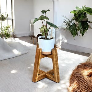 Handcrafted Mid Century Plant Stand: Natural Oreomunnea Wood