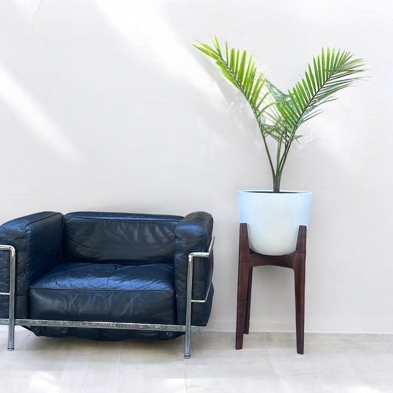 May include: A black leather armchair with a chrome frame sits next to a white planter with a green plant. The planter is on a dark brown wooden stand. The background is a light pink wall.