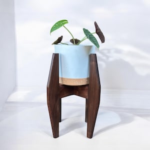 Black Walnut 16 Inches Tall Plant Stand Modern Wood Display