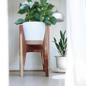 wooden plant stand indoor with design elegant, home decor for modern living spaces