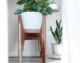 May include: A wooden plant stand with a white and brown planter holding a green plant with blue flowers. The stand has a natural wood finish and a simple, modern design. A second plant in a white pot is visible.