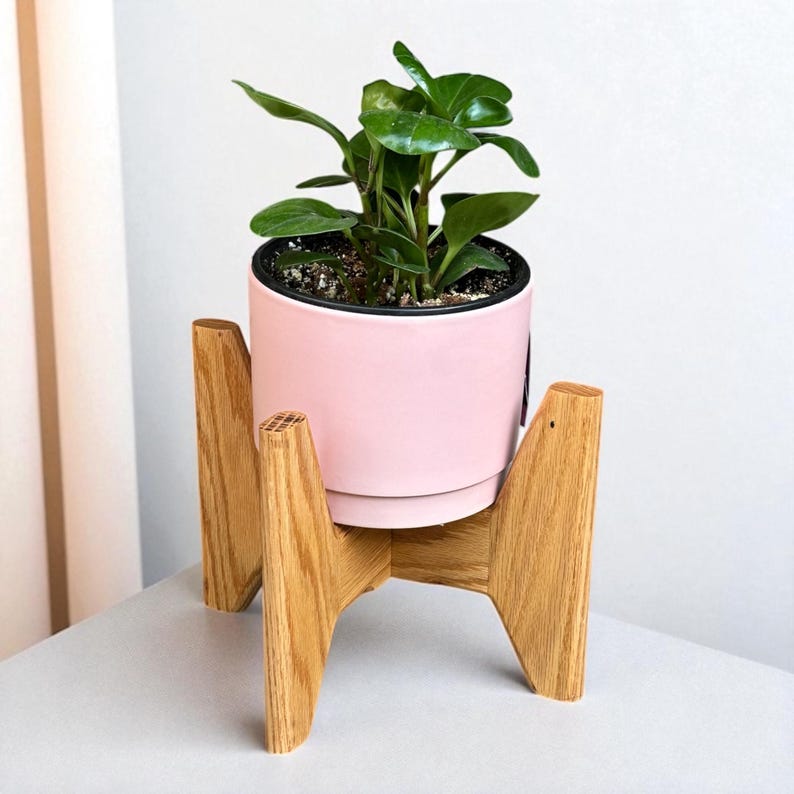 May include: A Peperomia plant in a light pink ceramic pot with a black rim, set on a natural wood plant stand. The plant has vibrant green leaves. The stand has a mid-century modern design.