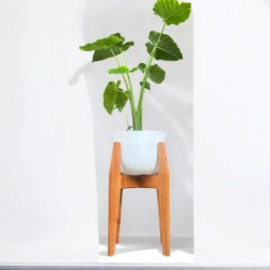 Decoración acogedora de estilo cabaña / Colgador de plantas para el hogar y el estilo