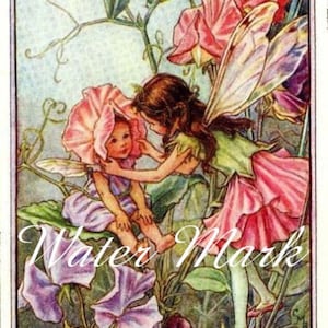 Download digital*Instantâneo*Fadas das flores*Fadas*Fadas da ervilha-de-cheiro*Costura*Cartões*Cartões de felicitações*Etiquetas*Cartões de felicitações*Moldura*Colagem*Decoupage