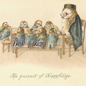 Sofortiger digitaler Download, Eulenklasse von Babyeulen, Vintage-Stil Postkartenbild, Tags, Rahmen, Grußkarten, Verkaufsanhänger, Nähen