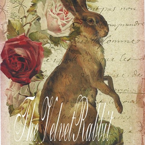 Osterhase auf französischer Schrift mit Rosen.  12 Karten mit schneeweißen Umschlägen* Postkartengröße*Handbemalt glitzer*Velvetrabbit