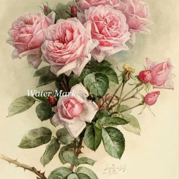 Roses vintage style bouquet*Water slide decals*Gorgeous*Instructions inluded with decals