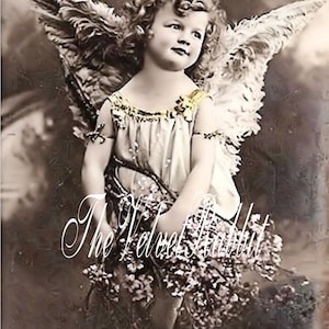 Digital DOWNLOAD INSTANT.Girl angel.Fluffy wings.Adorable.Look..Make place cards, collage,sewing and so much more