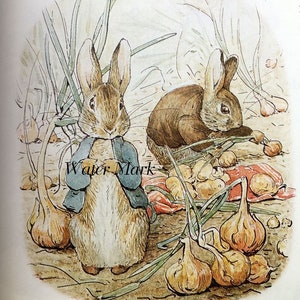 May include: Two brown rabbits in a garden setting. One rabbit is wearing a blue jacket and is standing upright. The other rabbit is sitting down and eating from a pile of brown onions.
