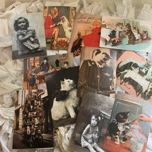 POSTALES de gatitos de gato Tarjetas de notas * Cartulina de calidad * 14 imágenes diferentes * Tarjeta de regalo * Etiqueta de precio * Manténgase en contacto * Marco * Regalo * GRACIAS * Invitaciones