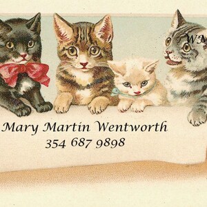 MOBIELE TELEFOON Visitekaartjes of visitekaartjes Katten Kittens met VICTORIAANSE afbeelding weergegeven*Naam en telefoonnummer op kaart*30*Romantiek*Vriendschap*Cadeau