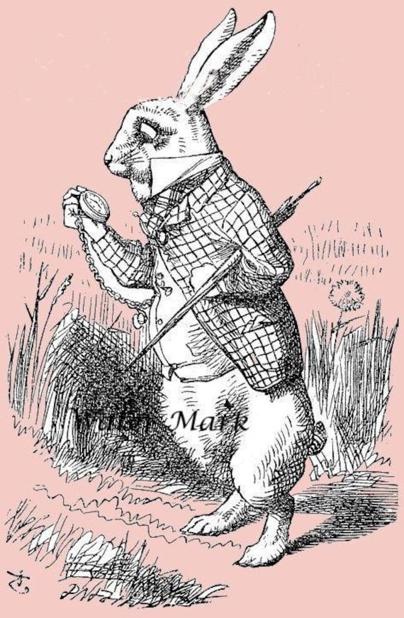 Alice in Wonderland. the White Rabbit Holding His Pocket Watch, in