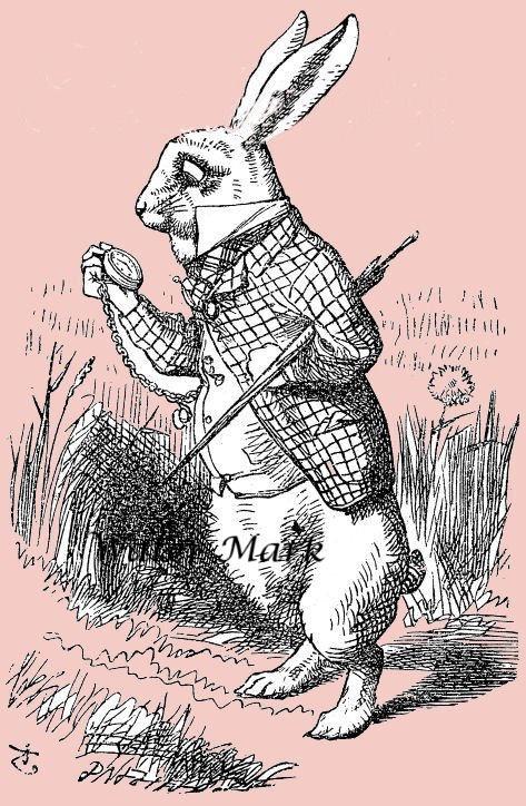 Alice in Wonderland. the White Rabbit Holding His Pocket Watch, in