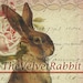 Propietario de <a href='https://www.etsy.com/mx/shop/THEVELVETRABBIT?ref=l2-about-shopname&from_page=listing' class='wt-text-link'>THEVELVETRABBIT</a>
