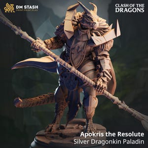 Silver Dragonborn Paladin - Apokris the Resolute by DM Stash