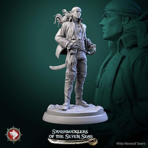 May include: A detailed, gray pirate figurine with long hair, a coat, and a sword. The figure stands on a small base, with a second, larger bust of the same character in the background. The text "Swashbucklers of the Seven Seas" is at the bottom.