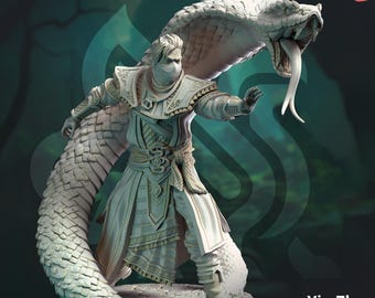 Yuan-Ti Snake Conjurer - Yin Zhu by DM Stash