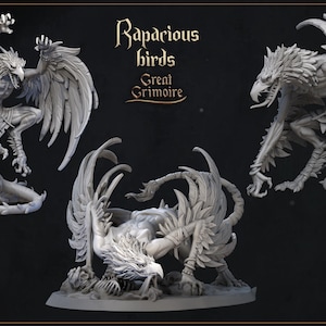 Rapacious birds by Great Grimoire