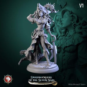 May include: A detailed, gray pirate figurine with a tricorn hat, holding a sword. The figure is wearing a long coat and has a monkey on its shoulder. The base reads "Swashbucklers of the Seven Seas."