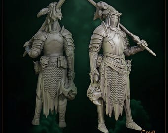 Captain of the Inquisition Ser Baldur by Great Grimoire