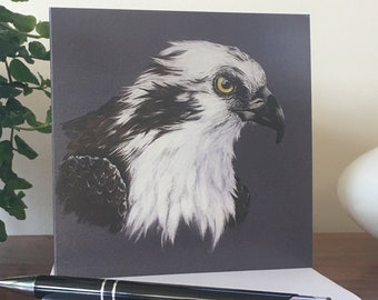 Osprey greetings card, bird of prey fine art blank card