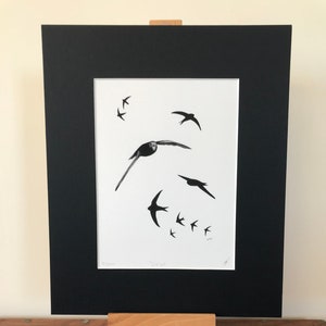 Common Swift Fine Art Print Limited Edition Mounted Artwork Bird Art Wall Art image 2