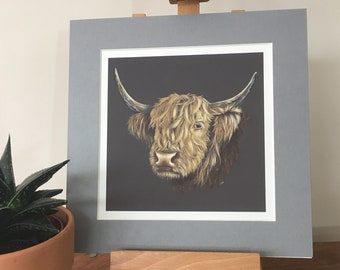 Highland Cow mounted fine art print from artwork in acrylics