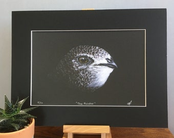 Common Swift fine art mounted print.  Wildlife art limited edition.