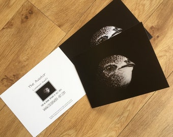 Common Swift Blank Greetings Card, Bird fine art