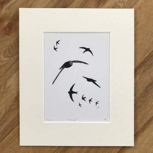 Common Swift Fine Art Print Limited Edition Mounted Artwork Bird Art Wall Art image 3