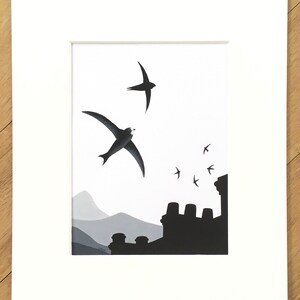 Common Swift Fine Art Print Limited Edition Mounted Artwork Giclee Bird Art Wall Art image 7