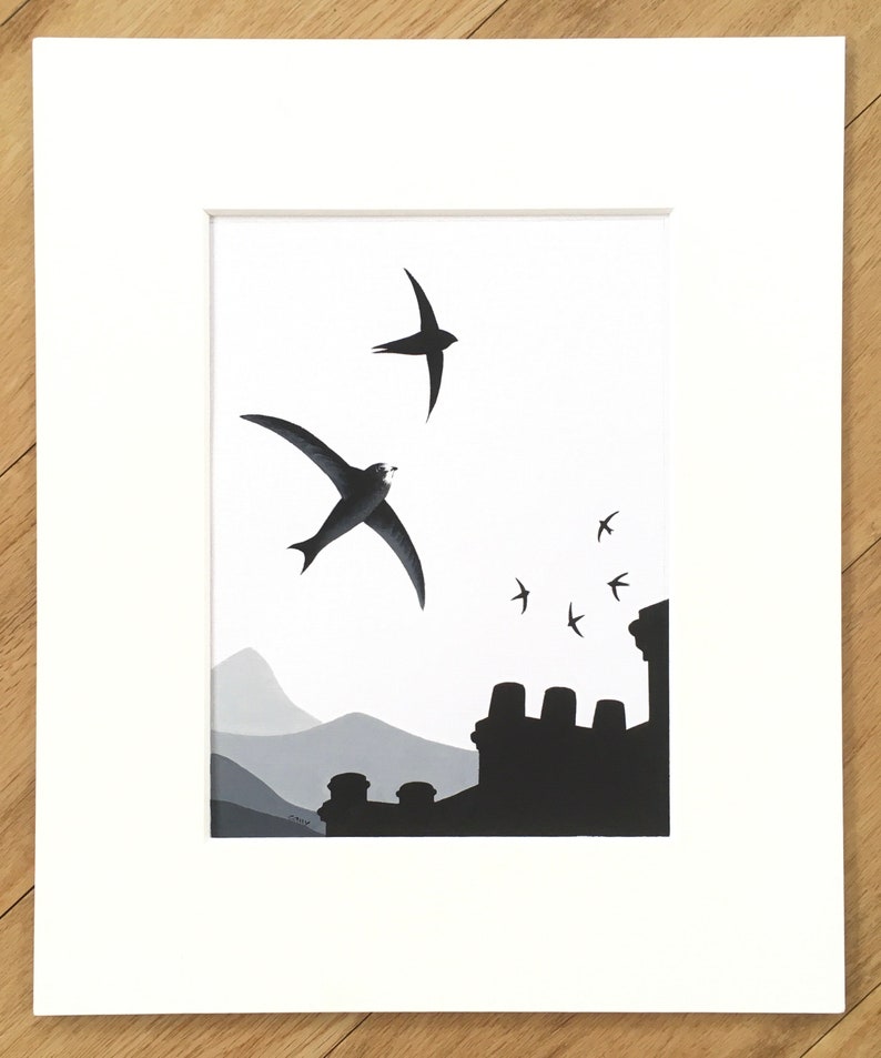 Common Swift Fine Art Print Limited Edition Mounted Artwork Giclee Bird Art Wall Art image 7