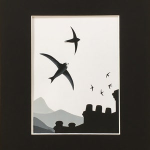 Common Swift Fine Art Print Limited Edition Mounted Artwork Giclee Bird Art Wall Art image 3