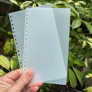 May include: Two translucent white plastic sheets with a hole punch pattern along the edge. The sheets are slightly overlapping.