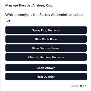 Massage Therapist Human Anatomy Digital Flash Card Game