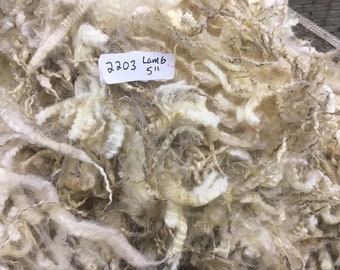 Coopworth Cross Raw Wool Lamb's Fleece, 2 lbs 7 ozs