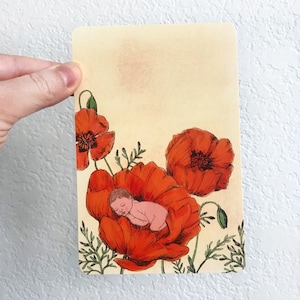Mohnblumen mit schlafenden Baby Botanische Kunst Postkarte / Natur / Karten / Postkarte