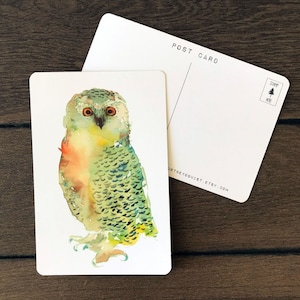 水彩画の緑のフクロウアートポストカード - 水彩画、絵画、自然、ポストカード、文房具