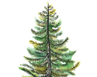 Watercolor Evergreen Tree Art Print - painting, tree, nature, watercolor painting, art print