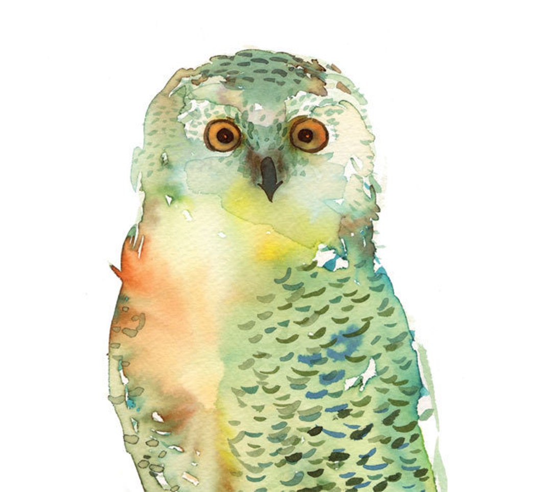 Watercolor Green Owl Painting Nature Watercolor Painting - Etsy Watercolor Green Owl Painting Nature Watercolor Painting - Etsy