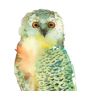 Watercolor Green Owl painting, nature, watercolor painting, art print image 1