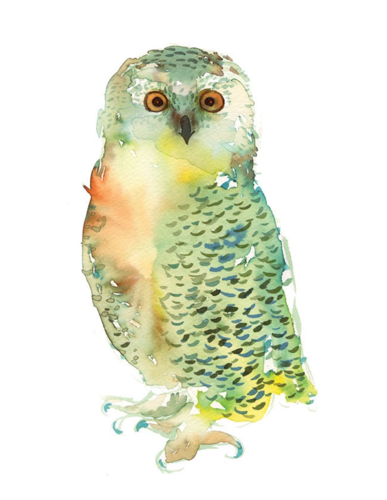 Watercolor Green Owl painting, nature, watercolor painting, art print image 2