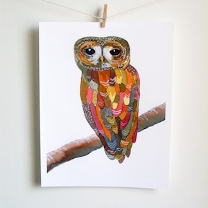 Watercolor Owl Painting - Colorful Owl - art print, archival print, reproduction