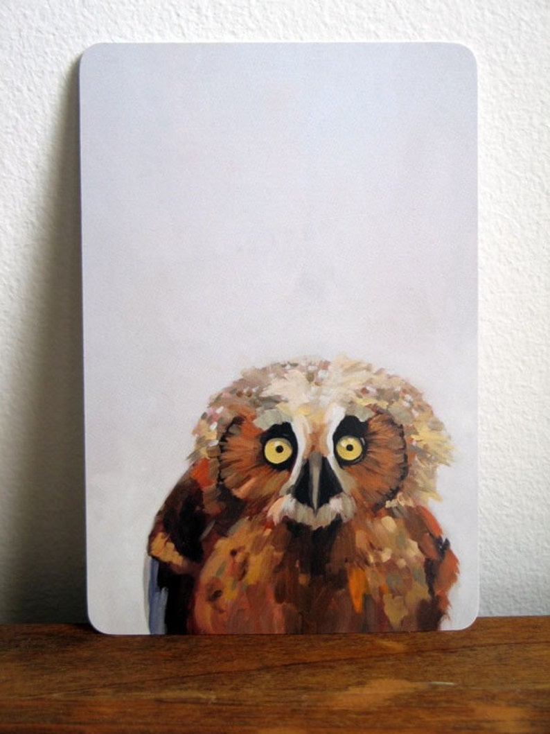 Forest Postcard Pack